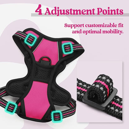rabbitgoo Dog Harness No Pull with 2 Leash Clips, Adjustable Soft Padded, Reflective Oxford No Choke Pet Vest with Easy Control Handle for Puppy, Hot Pink, XS rabbitgoo