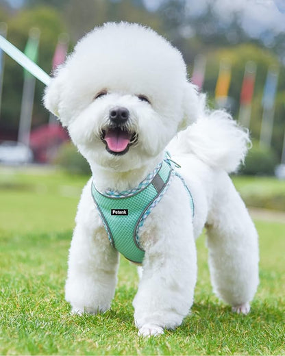 Petank Dog Harness for Small Medium Dogs No Pull, Puppy Harness and Leash Set, Easy Walk Dog Harness for Walking, Running, Training, Small Dog Harness, Medium Dog Harness (Green, XXS) Petank