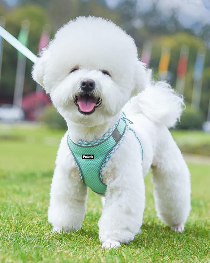 Petank Green Dog Harness (XS), No Pull, Puppy Harness and Leash Set, Jacquard Mesh, Easy Walk Dog Harness for Small Medium Dogs, Reflective Strip, Training, Running, Walking Petank