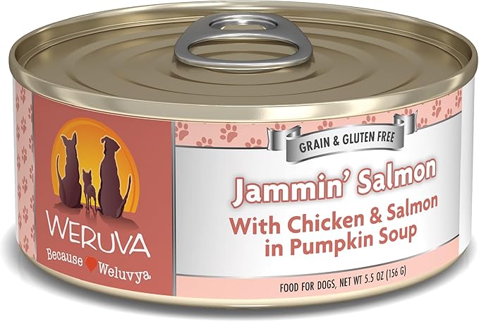 Weruva Classic Dog Food, Jammin' Salmon with Chicken & Salmon in Gravy, 5.5oz Can (Pack of 24) - PAWPICO