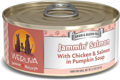 Weruva Classic Dog Food, Jammin' Salmon with Chicken & Salmon in Gravy, 5.5oz Can (Pack of 24) - PAWPICO