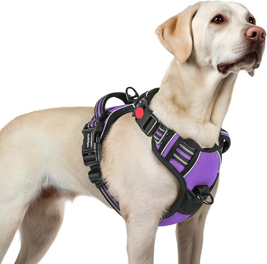 rabbitgoo Dog Harness for Large, No Pull Pet Harness with 3 Buckles, Adjustable Soft Padded Pooch Vest with Instant Control Handle, Easy Walking Reflective Pet Vest for Large Dogs, Purple, L rabbitgoo
