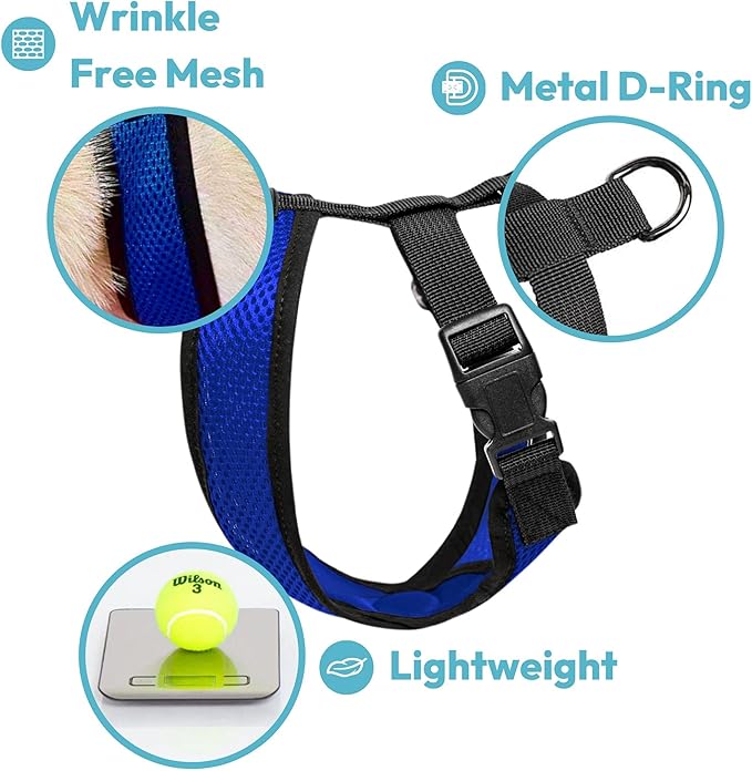 Gooby Comfort X Head in Harness - Orange, Medium - No Pull Small Dog Harness Patented Choke-Free X Frame - On The Go Dog Harness for Medium Dogs No Pull or Small Dogs for Indoor and Outdoor Use Gooby