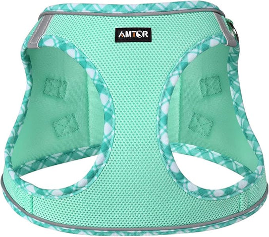 AMTOR Small Dog Harness with Leash Set, No Escape Easy Walk Puppy Harnesses for Training Walking, Step-in Reflective Soft Dogs Vest for XS S Medium Extra-Small Large Sized Dog(Green,XXS) AMTOR