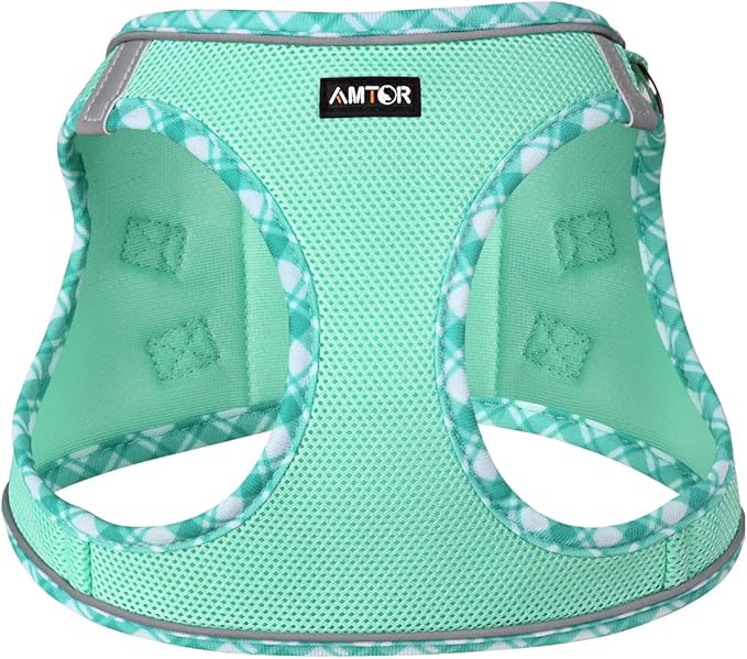 AMTOR Small Dog Harness with Leash Set, No Escape Easy Walk Puppy Harnesses for Training Walking, Step-in Reflective Soft Dogs Vest for XS S Medium Extra-Small Large Sized Dog(Green,M) AMTOR