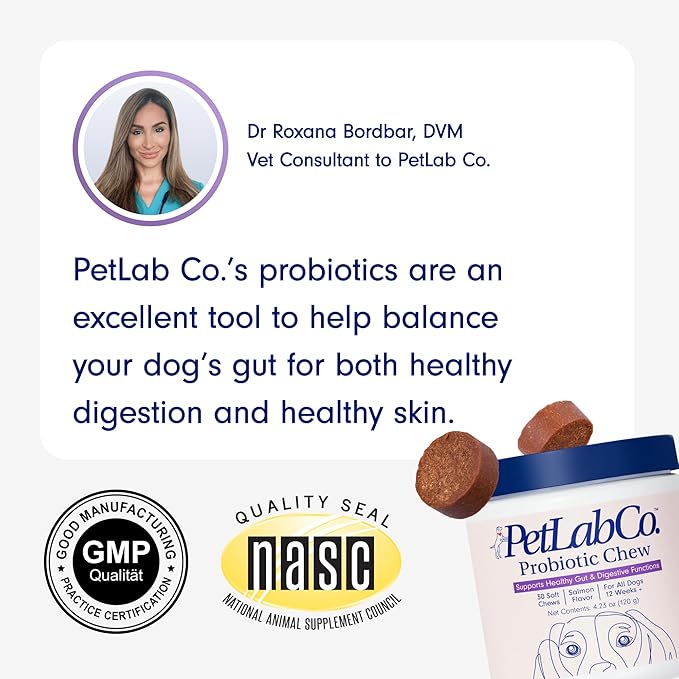 PetLab Co. Probiotics for Dogs, Support Gut Health, Occasional Diarrhea, Digestive Health & Seasonal Allergies - Salmon Flavor - 30 Soft Chews PetlabCo