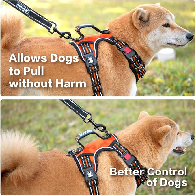 PoyPet No Pull Dog Harness, No Choke Front Clip Reflective Dog Vest with Soft Padded Vertical Handle, 3 Leash Attachments for Small Medium Large Dogs (Orange,M) PoyPet