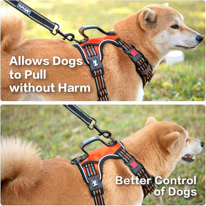 PoyPet No Pull Dog Harness, No Choke Front Clip Reflective Dog Vest with Soft Padded Vertical Handle, 3 Leash Attachments for Small Medium Large Dogs (Orange,L) PoyPet