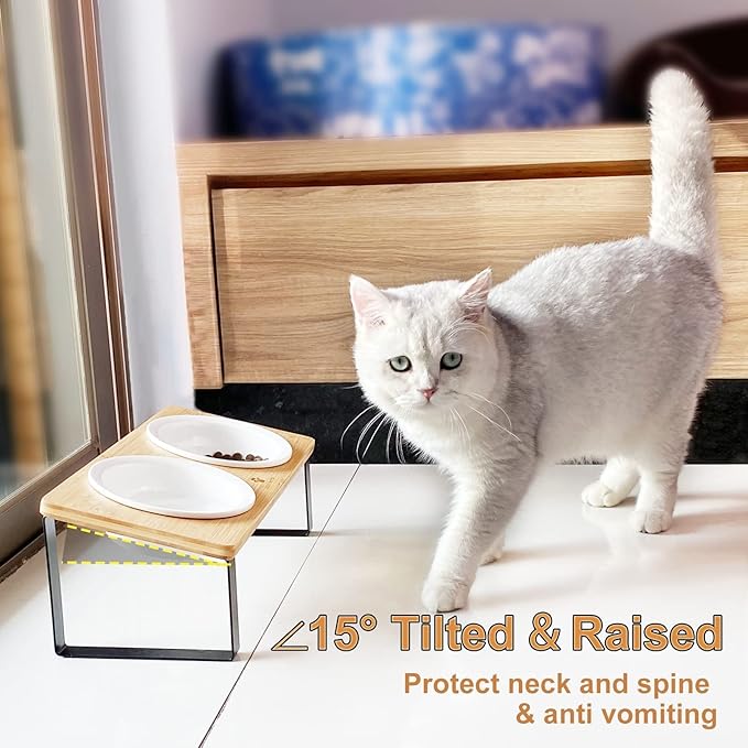 Sunhoo Ceramic Elevated Cat Bowls, Raised Puppy Dishes for Food and Water, Tilted Bamboo Stand for Anti Vomiting, Indoor 5.5 inch Wide Double Dish Orthopedic Anti-Vomiting (Wood Color) - PAWPICO