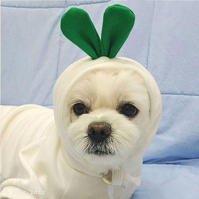 Warm Dog Winter Clothes Cute Fruit Dog Coat Hoodies Fleece Pet Dogs Costume Jacket for French Bulldog Chihuahua Ropa para Perro(White Carrot,XXL) - PAWPICO