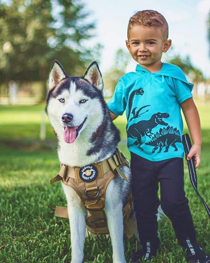 rabbitgoo Tactical Dog Harness for Large Dogs, Heavy Duty Dog Harness with Handle, No-Pull Service Dog Vest Large Breed, Adjustable Military Dog Vest Harness for Training Hunting Walking, Brown, L rabbitgoo