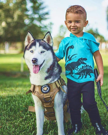 rabbitgoo Tactical Dog Harness for Large Dogs, Heavy Duty Dog Harness with Handle, No-Pull Service Dog Vest Large Breed, Adjustable Military Dog Vest Harness for Training Hunting Walking, Brown, L rabbitgoo