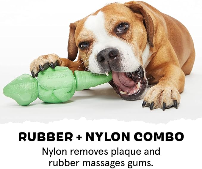 Barkbox Super Chewer Tough Dog Chew Toys for Aggressive Chewers, Dental Stimulating (Iguana - Large) - PAWPICO