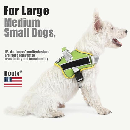 Bolux Dog Harness, No-Pull Reflective Dog Vest, Breathable Adjustable Pet Harness with Handle for Outdoor Walking - No More Pulling, Tugging or Choking (X-Small (Pack of 1), GreenYellow) Bolux