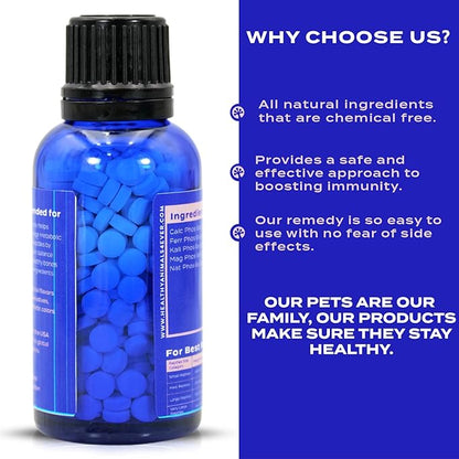 HealthyAnimals4Ever Bone Support for Reptiles - Natural Calcium Balance & Bone Strength Formula - Supports Bone Health, Mobility & Vitality - 300 Count HealthyAnimals4ever