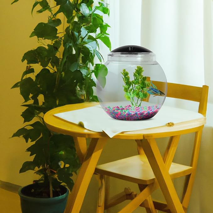 Koller Products 1-Gallon Globe Fish Bowl, Impact- Resistant Plastic Aquarium Starter Kits with LED Lighting, Buit-in Timer, Crystal-Clear Clarity, Desktop Fish Tank for Home Décor DISCOVERTHEEXCITINGWORLDOFKEEPINGTROPICALFISH