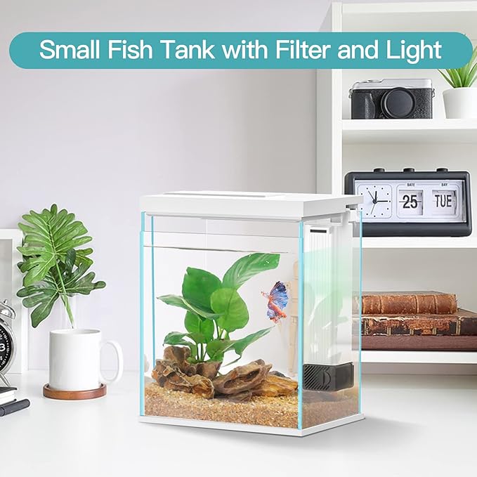 Betta Fish Tank, 2 Gallon Glass Aquarium Starter Kit, Small Fish Tank with Filter and Light. Pronetcus