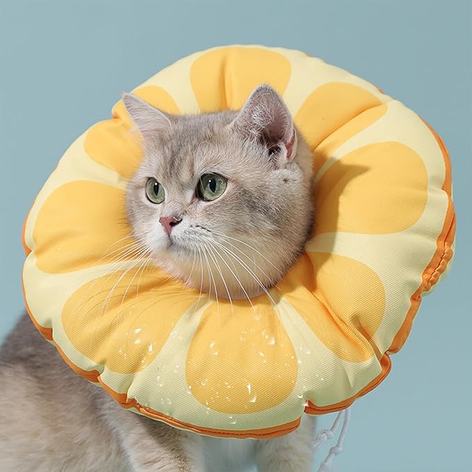 Cat Recovery Soft Collar.Waterproof Soft Recovery Cone Collar. Anti-bite and Anti-Lick Wound Healing Safe Adjustable Elizabethan Collar.(M) PAWPICO
