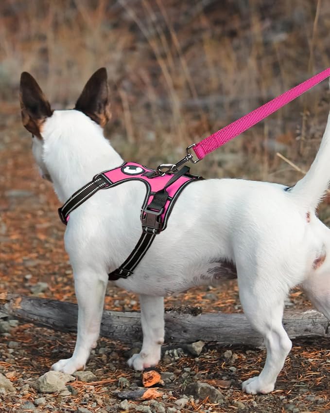 Joytale Double-Sided Reflective Dog Leash, 6 FT/5 FT/4 FT, Padded Handle Nylon Heavy Duty Leashes for Small & Medium Dogs Walking, Hotpink, 6FT Joytale