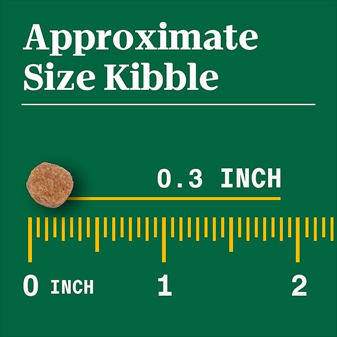 Nutro Natural Choice Small Bites Adult Dry Dog Food, Chicken and Brown Rice Recipe, 13 lbs. - PAWPICO