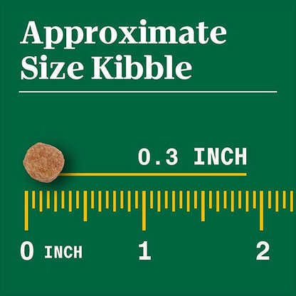 Nutro Natural Choice Small Bites Adult Dry Dog Food, Chicken and Brown Rice Recipe, 13 lbs. - PAWPICO