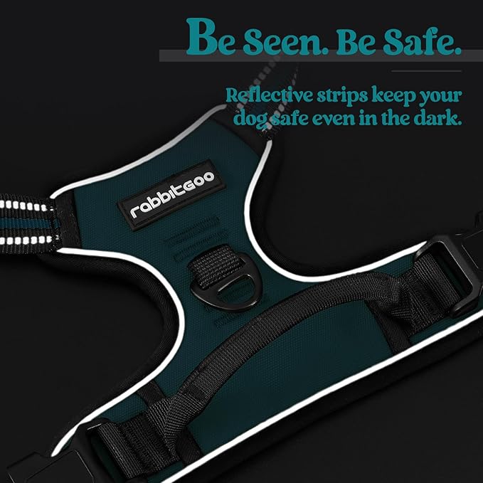 rabbitgoo Dog Harness No Pull with 2 Leash Clips, Adjustable Soft Padded, Reflective Oxford No Choke Pet Vest with Easy Control Handle for Large Dogs, Blue Coral, L rabbitgoo