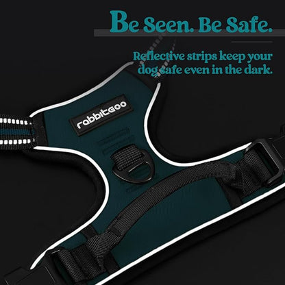 rabbitgoo Dog Harness No Pull with 2 Leash Clips, Adjustable Soft Padded, Reflective Oxford No Choke Pet Vest with Easy Control Handle for Large Dogs, Blue Coral, L rabbitgoo