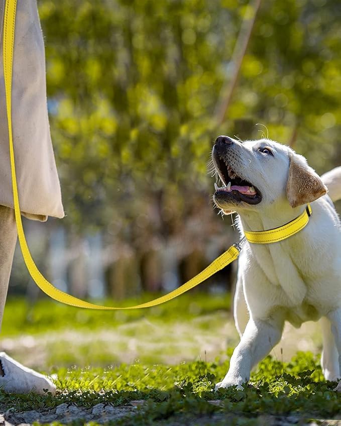 Joytale Double-Sided Reflective Dog Leash, 6 FT/5 FT/4 FT, Padded Handle Nylon Heavy Duty Leashes for Medium & Large Dogs Walking, Yellow, 5FT Joytale