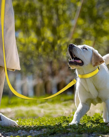 Joytale Double-Sided Reflective Dog Leash, 6 FT/5 FT/4 FT, Padded Handle Nylon Heavy Duty Leashes for Medium & Large Dogs Walking, Yellow, 5FT Joytale