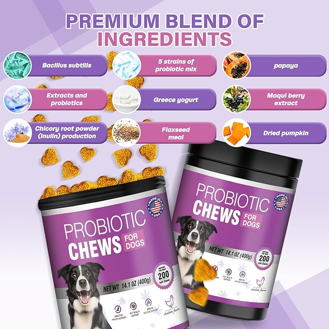 Probiotics For Dogs Chews 400 Probiotic and Digestive Enzymes Gut Health Itching Dog Digestive Health Yeast Prebiotic Supplement Immune Support Reduce Diarrhea Soft Chewable Tablets (Chicken Flavor) TTLXBLprotectsdoghealth