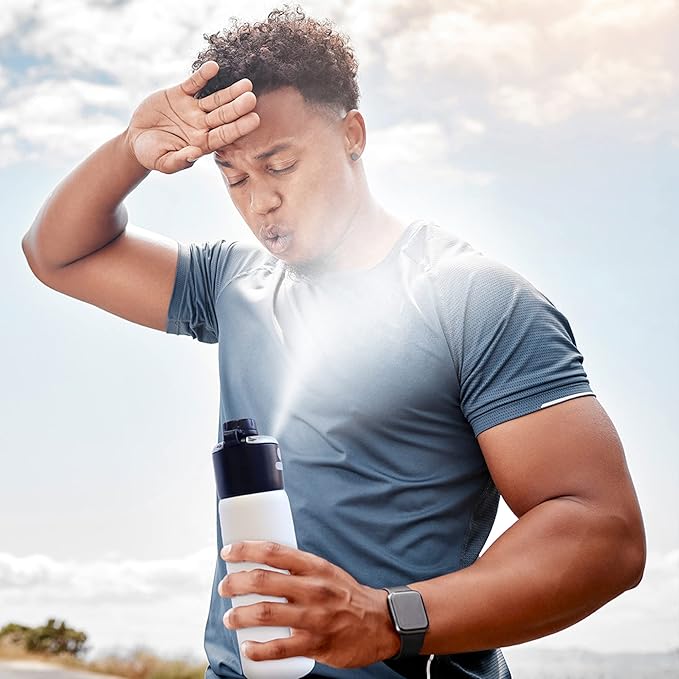 GoMist Misting & Drinking Bottle | Rechargeable Mist & Sip Water Bottle | Quick Charge USB-C Port | 2-Speed Mist Function | Stainless-Steel Double Wall Insulation (Desert Flower) ExtremeMist