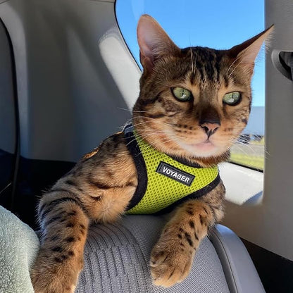 Voyager Step-in Air Dog Harness - All Weather Mesh, Reflective, No Pull Harness for Small, Medium Dogs, Cats - Secure with Hook & Loop Fastener, Buckle, Double D-Rings - Lime Green/Black Trim, XS BestPetSuppliesLLC