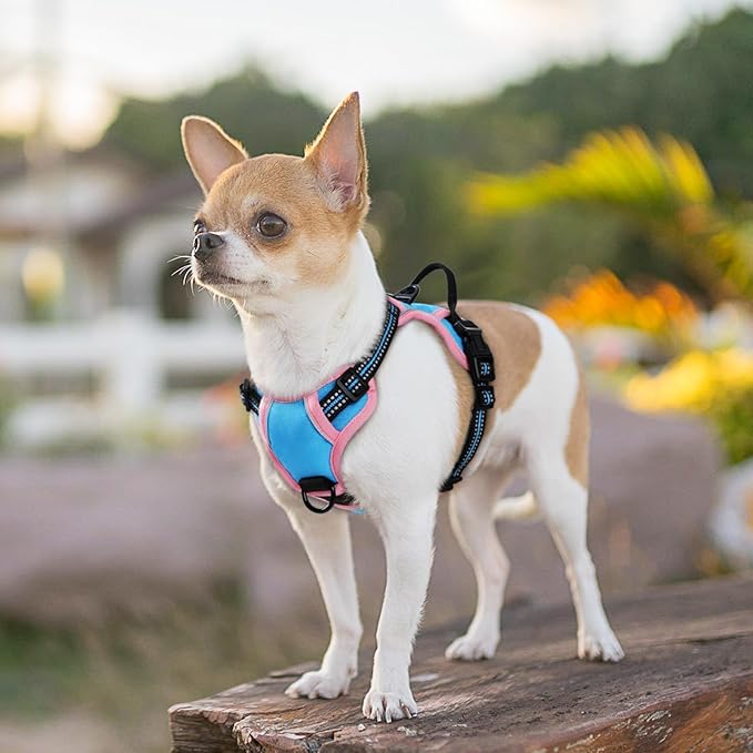 Eagloo Dog Harness for Large Dogs, No Pull Service Vest with Reflective Strips and Control Handle, Adjustable and Comfortable for Easy Walking, No Choke Harness with 2 Metal Rings, Pink & Blue, XS GoExplorewithEagloo