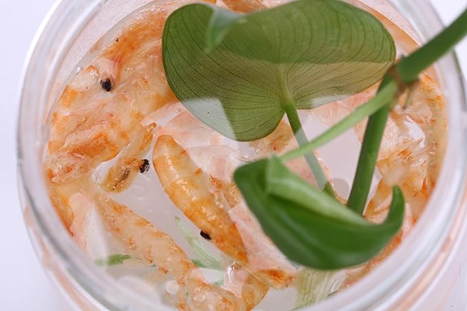 Premium Freeze-Dried Krill & Shrimp Mix - Ideal for Arowana, Koi, Tropical Cichlids, and Turtles - High-Protein Floating Aquarium Food (3000ml) toyuto