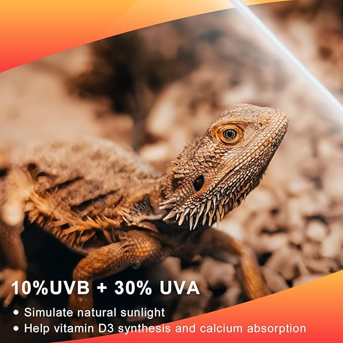 LUCKY HERP 2 Pack T5 UVB 10.0 Reptile Light 24W, UVA UVB Fluorescent Lamp Tube, UVB Lighting Bulb for Turtles, Chameleon, Tortoises, Lizard LUCKYHERP