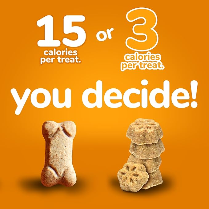 Fruitables Skinny Mini Dog Treats – Healthy Treats for Dogs – Low Calorie Training Treats – Free of Wheat, Corn and Soy – Pumpkin and Mango – 5 Ounces (Pack of 2) - PAWPICO