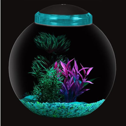 Koller Products 3-Gallon Globe Fish Bowl, Impact- Resistant Plastic Fish Tank with LED Lighting, Crystal-Clear Clarity, Desktop Aquarium Tank for Betta Nano Goldfish Peacockfish Zebrafish, Home Décor DISCOVERTHEEXCITINGWORLDOFKEEPINGTROPICALFISH