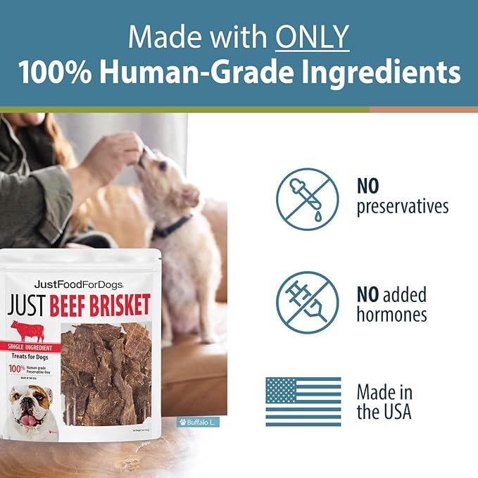 JustFoodForDogs Single-Ingredient Healthy Dog Treats, Beef Brisket, Made in The USA, 5 oz - PAWPICO