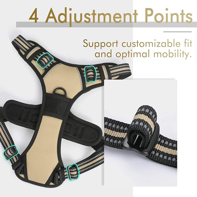 rabbitgoo Dog Harness, No-Pull Pet Harness with 2 Leash Clips, Adjustable Soft Padded Dog Vest, Reflective No-Choke Pet Oxford Vest with Easy Control Handle for Medium Dogs, Beige, M - PAWPICO
