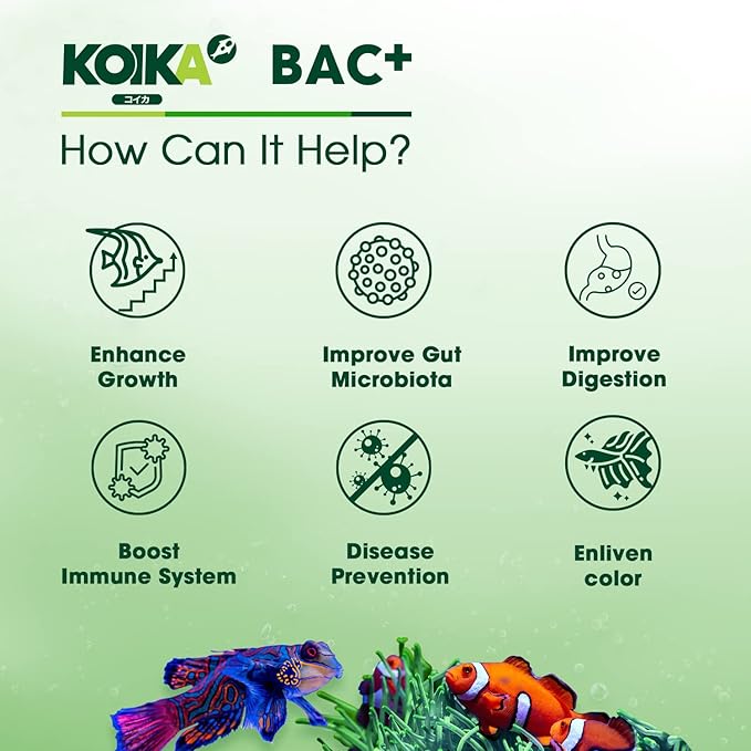 KOIKA BAC+ Powder probiotics, Pleasant Smell, Higher Probiotic, Immunity Boosting, Disease Resistance (BAC+(Powder), 2.82 oz) Koika