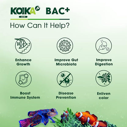 KOIKA BAC+ Powder probiotics, Pleasant Smell, Higher Probiotic, Immunity Boosting, Disease Resistance (BAC+(Powder), 2.82 oz) Koika