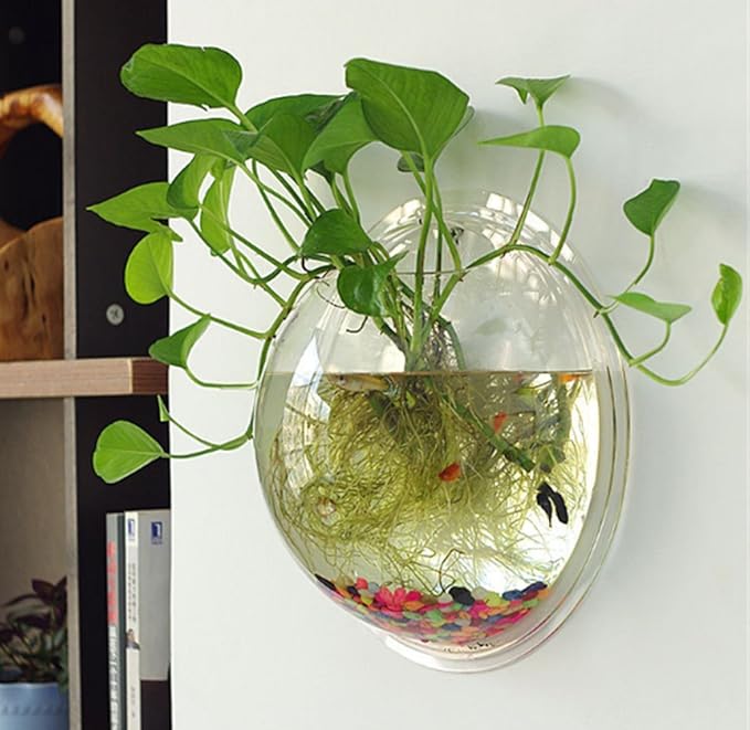 Hanging Wall Mounted 1 Gallon Fish Tank Bowl Aquarium Wall Decor Plant Fish Bubble - Clear (Large) Sweetsea
