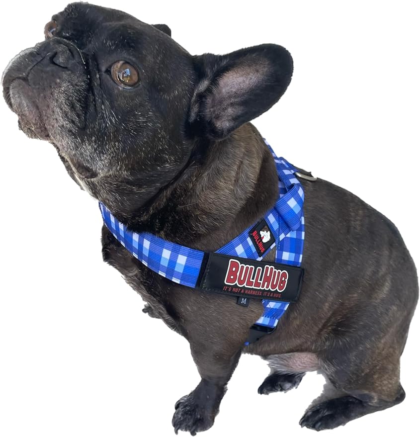 BULLHUG Harness – Made for Larger Chested Dogs Like English Bulldogs, French Bulldogs, Pugs & More. Stops Dogs from Pulling & Choking on Walks (BLUEWHITE Med) BULLHUG
