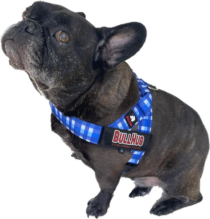 BULLHUG Harness – Made for Larger Chested Dogs Like English Bulldogs, French Bulldogs, Pugs & More. Stops Dogs from Pulling & Choking on Walks (BLUEWHITE Med) BULLHUG