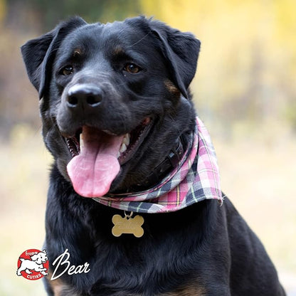 Fromm Four-Star Nutritionals Chicken A La Veg Dog Food - Premium Dry Dog Food - Chicken Recipe - 4 lb - PAWPICO