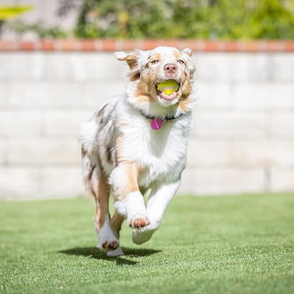 Hyper Pet MINI Tennis Balls for Dogs (Pet Safe Dog Ball for Exercise & Training, Interactive Toys work with Hyper Pet K9 Kannon MINI Launcher - 4 Pack MINI Green - PAWPICO