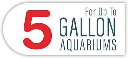 GloFish LED Light 5 Gallons, Blue and White LED Lights, for Aquariums Up to 5 Gallons, Model:29028 GloFish