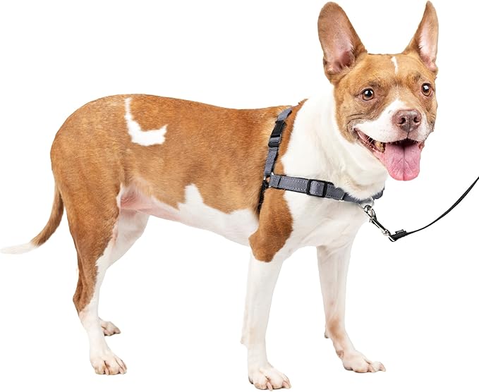 PetSafe Easy Walk Deluxe Dog Harness, No Pull Dog Harness – Perfect for Leash & Harness Training – Stops Pets from Pulling and Choking on Walks – Medium, Steel PetSafe