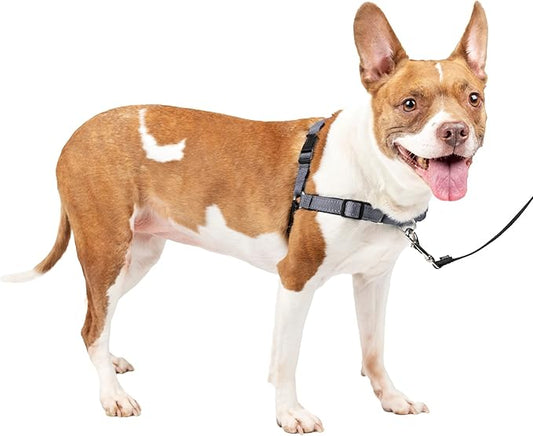 PetSafe Easy Walk Deluxe Dog Harness, No Pull Dog Harness – Perfect for Leash & Harness Training – Stops Pets from Pulling and Choking on Walks – Medium, Steel PetSafe