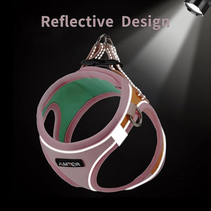 AMTOR Small Dog Harness with Leash Set, No Escape Easy Walk Puppy Harnesses for Training Walking, Step-in Reflective Soft Dogs Vest for XS S Medium Extra-Small Large Sized Dog(Pink/Orange) AMTOR